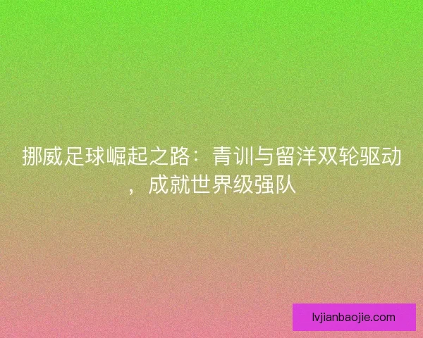 挪威足球崛起之路：青训与留洋双轮驱动，成就世界级强队