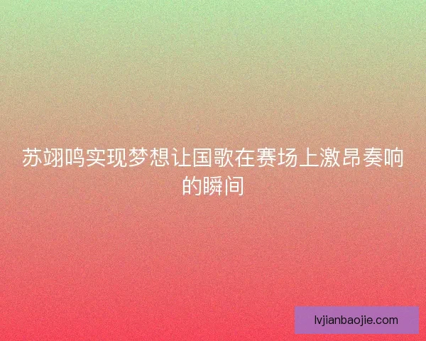 苏翊鸣实现梦想让国歌在赛场上激昂奏响的瞬间