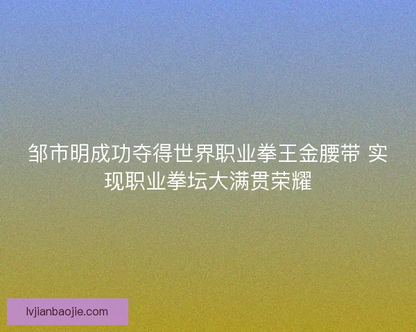 邹市明成功夺得世界职业拳王金腰带 实现职业拳坛大满贯荣耀