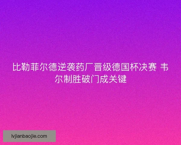 比勒菲尔德逆袭药厂晋级德国杯决赛 韦尔制胜破门成关键 比勒菲尔德逆袭药厂晋级德国杯决赛 韦尔制胜破门成关键