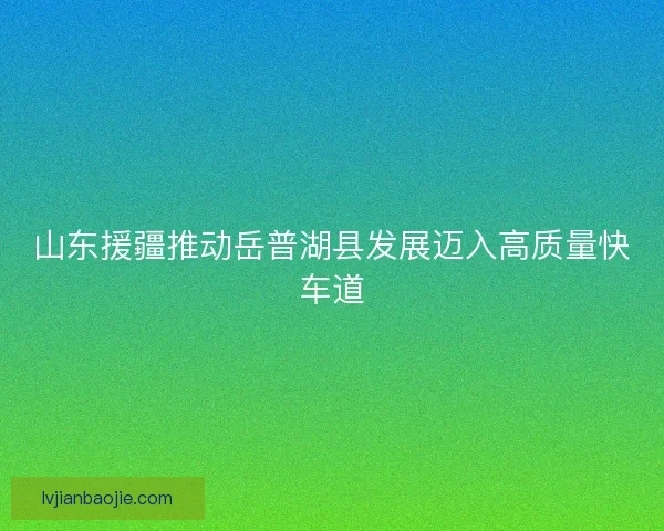 山东援疆推动岳普湖县发展迈入高质量快车道